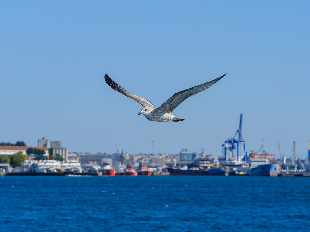 Photo infrastructure bill