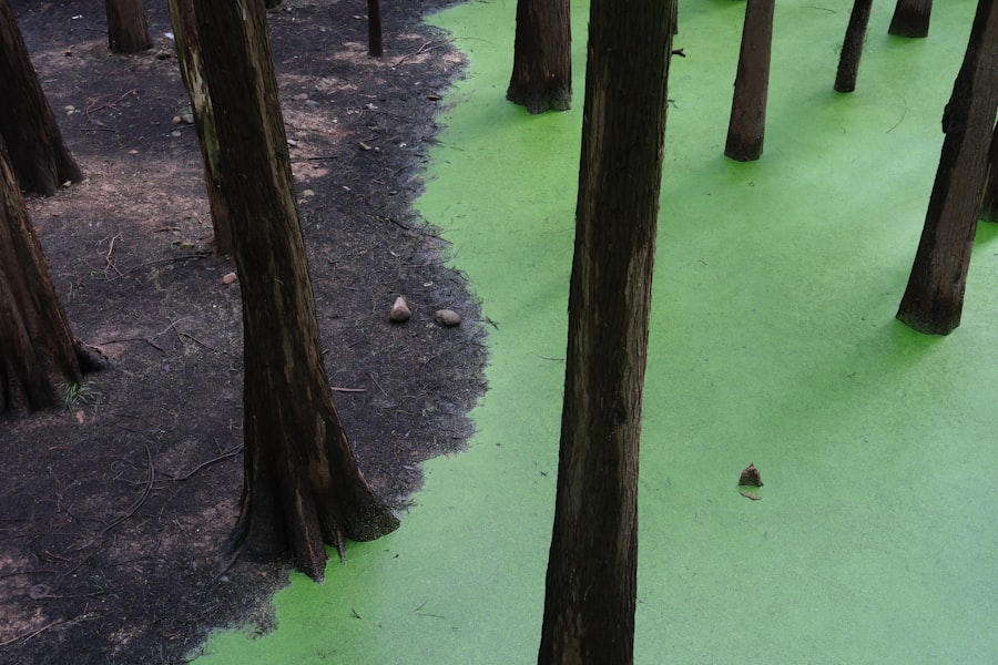 Photo water contamination