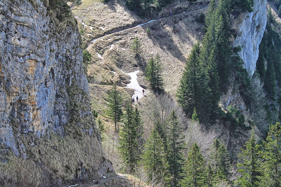 Photo landslide risk