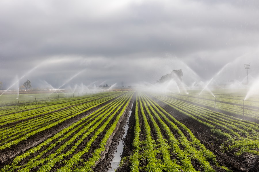 agricultural land water