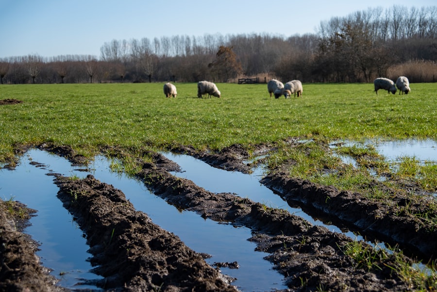 agricultural water usage decline
