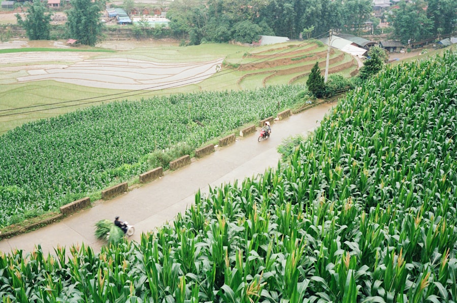 agricultural water usage decline