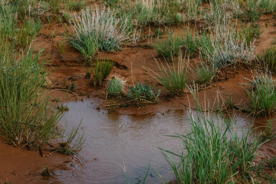 groundwater depletion consequences