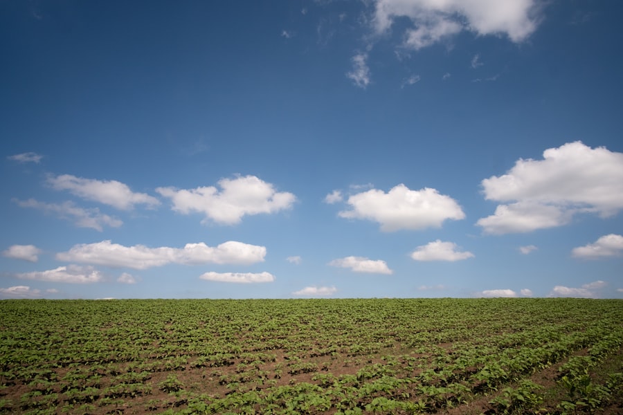 agriculture environmental impact