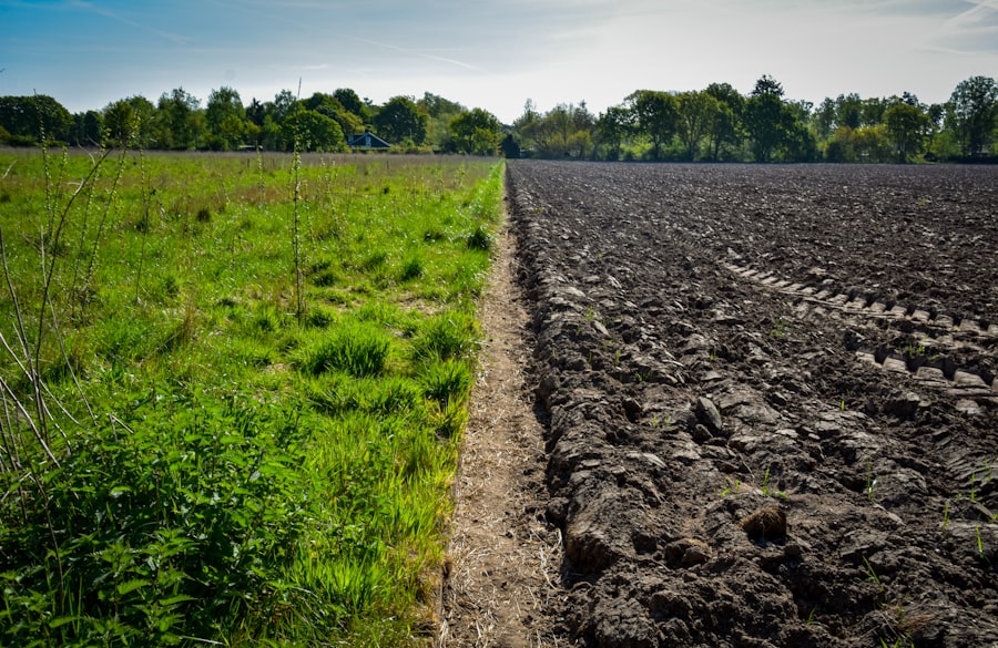 soil health incentives