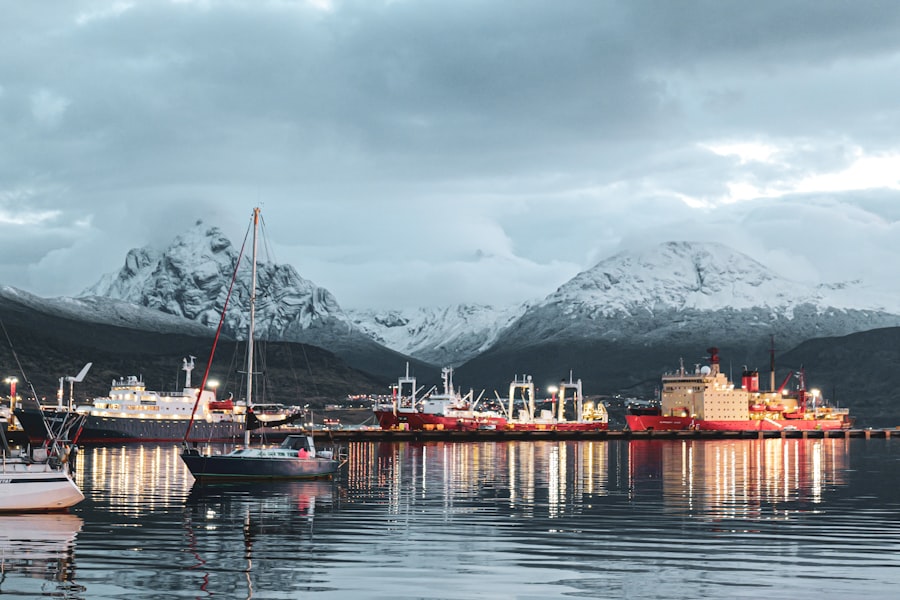 arctic shipping reinsurance market trends