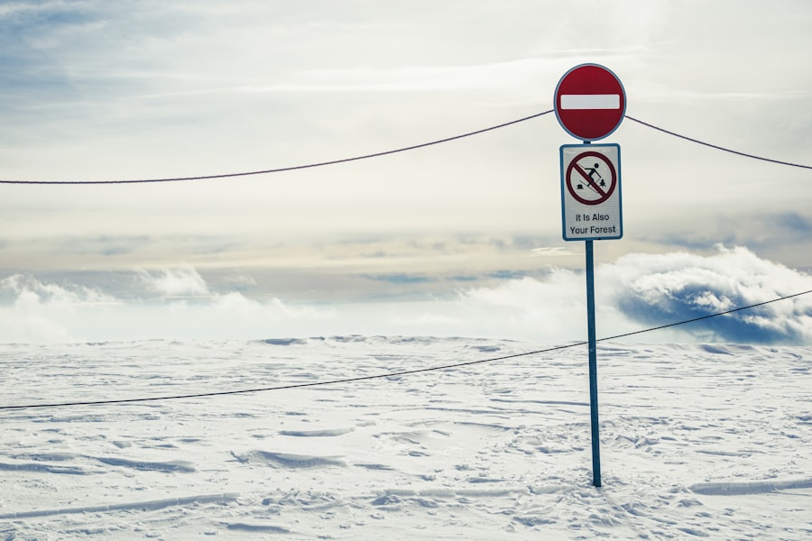 arctic route sanctions