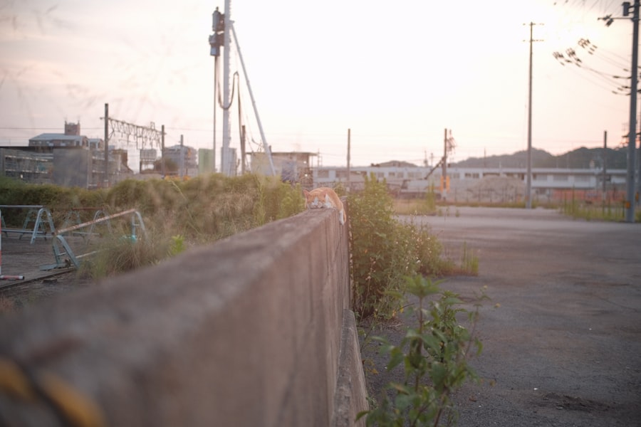 Darién Gap documentary