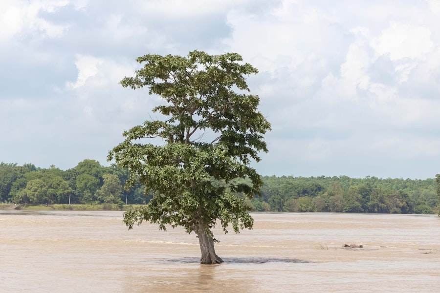mississippi river drought impact on food supply