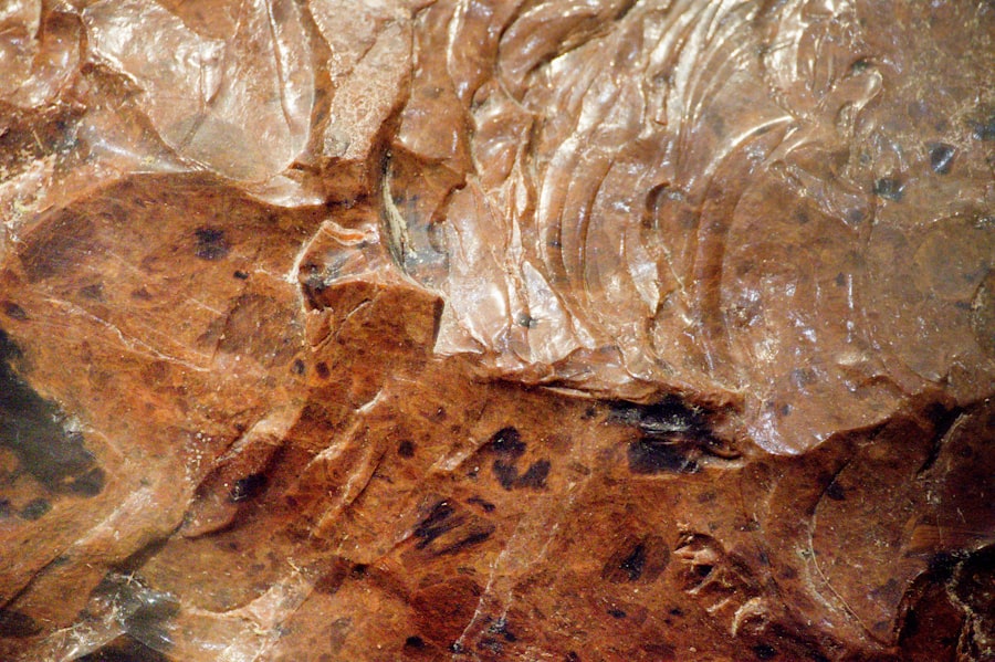 fossil water
