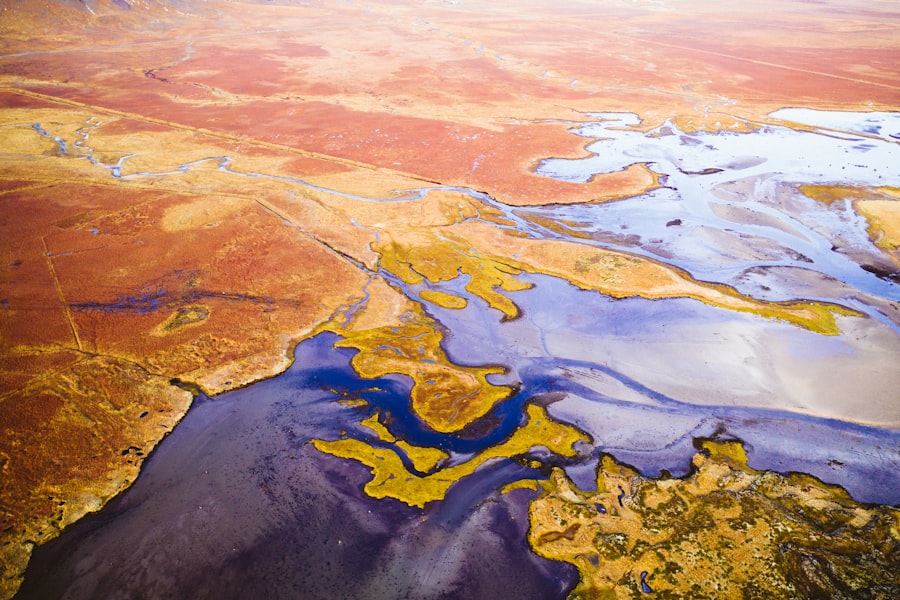 rare earth strategic reserves