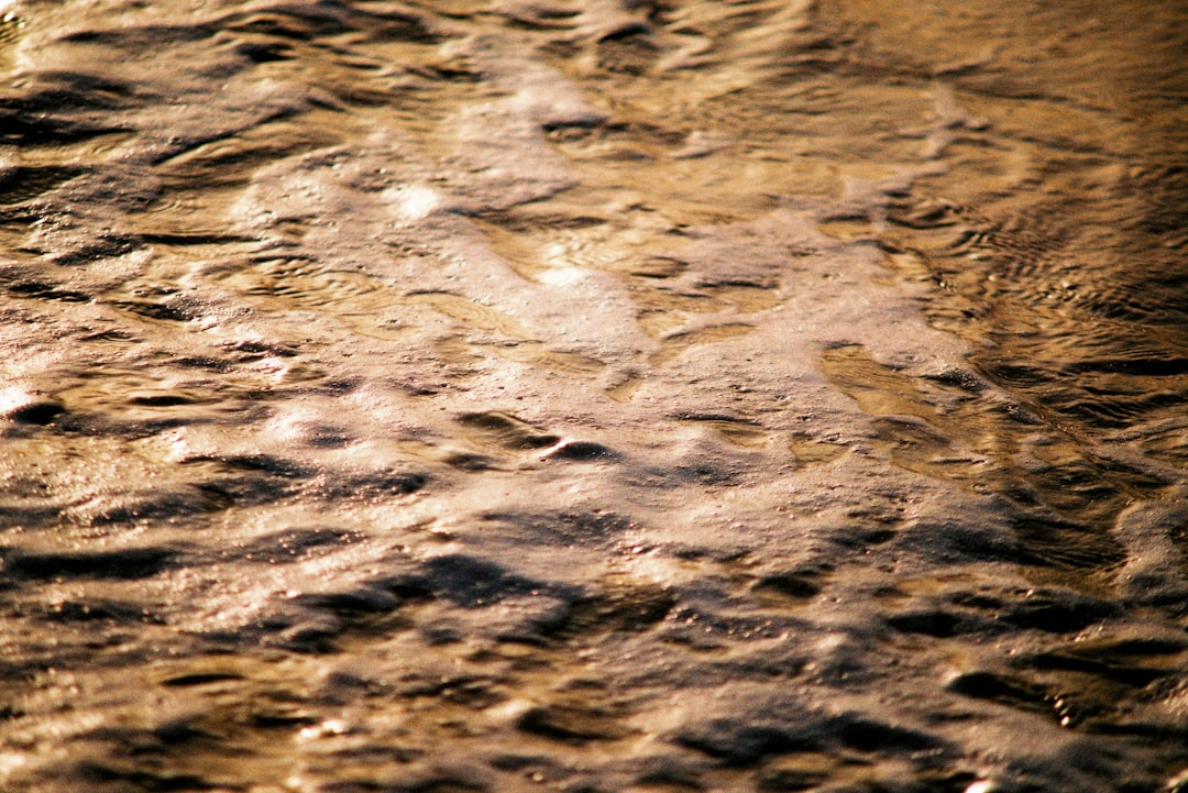 Photo fossil water