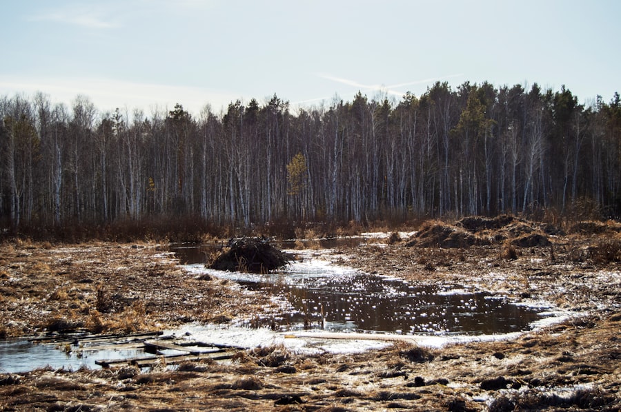 Photo rare earth environmental compliance