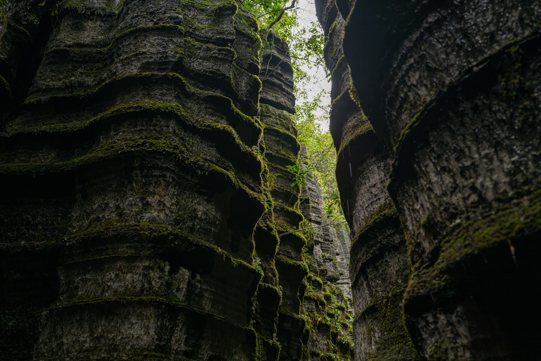 Photo rare earth vertical integration