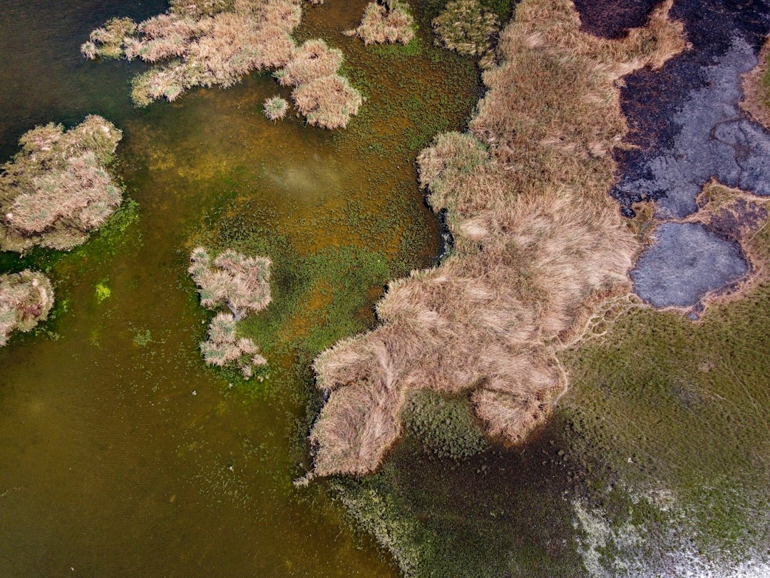 Photo rare earth industrial clustering