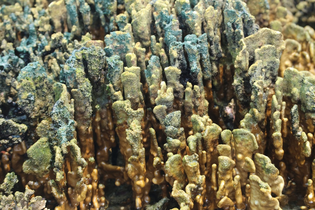 Photo baotou rare earth complex