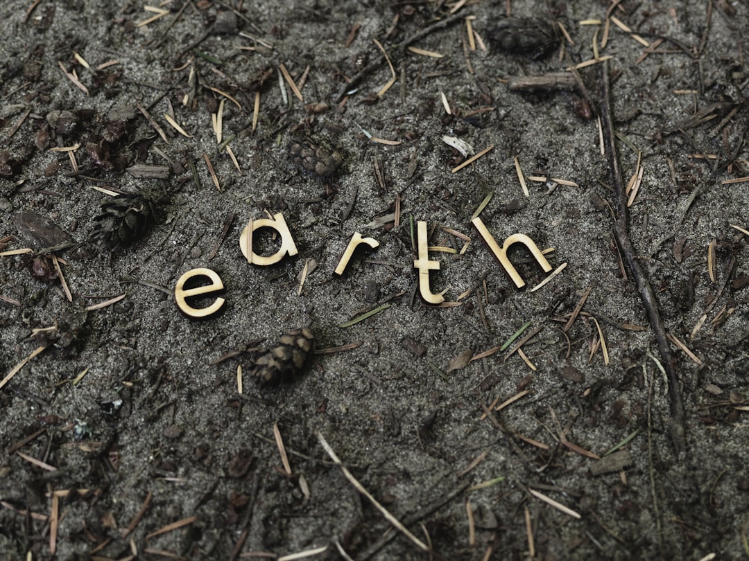 Photo rare earth export controls