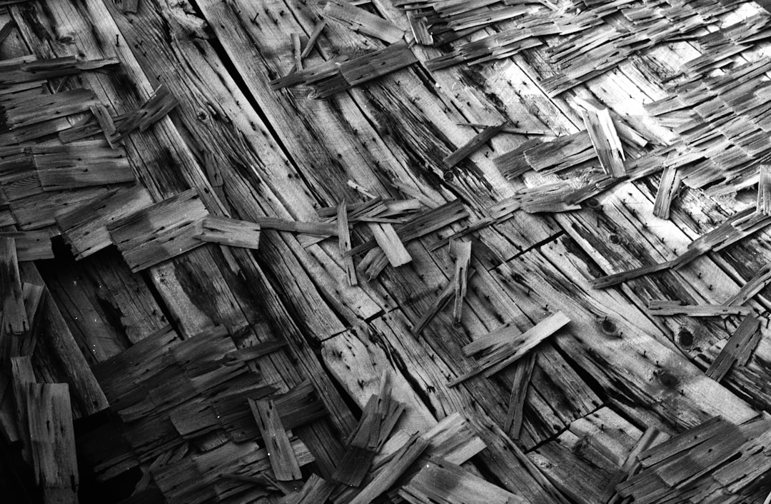 Photo supply chain collapse