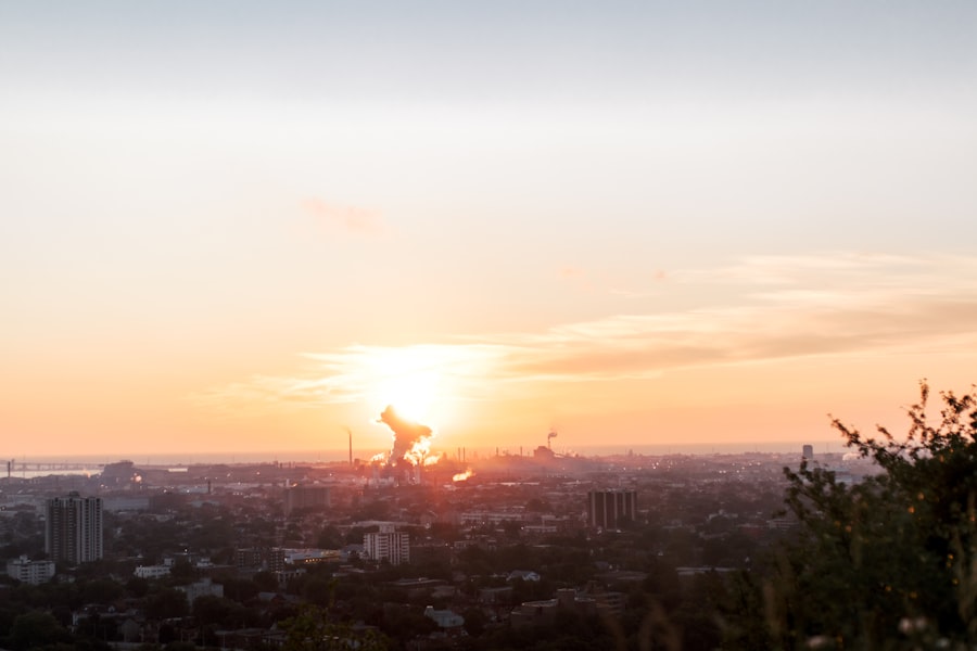 Photo economic impact