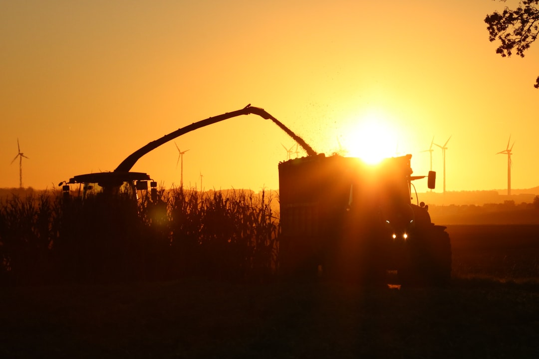 Photo supply chain disruption