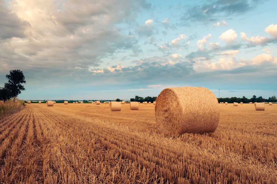 Photo agricultural economics collapse