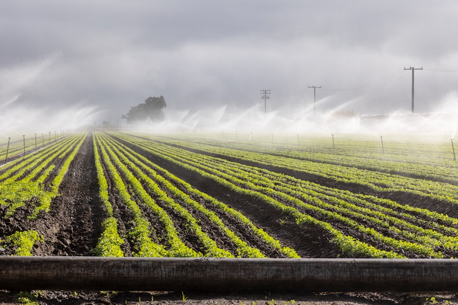 Photo agricultural land water