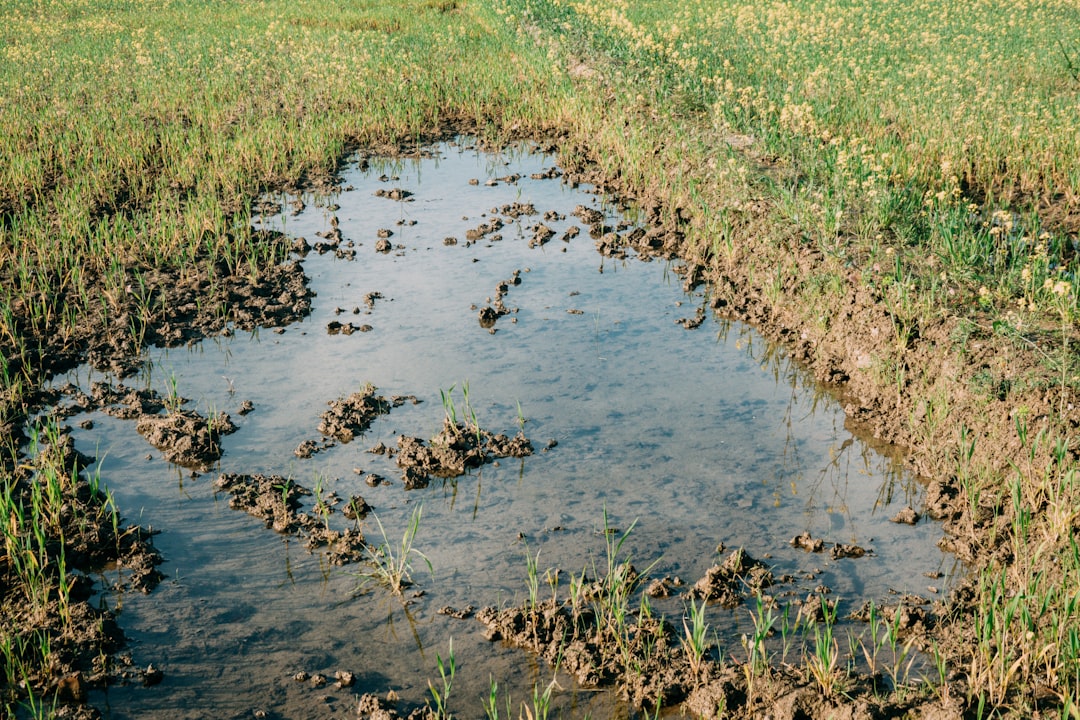 Photo agricultural water usage decline