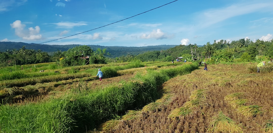 Photo environmental stewardship farming community