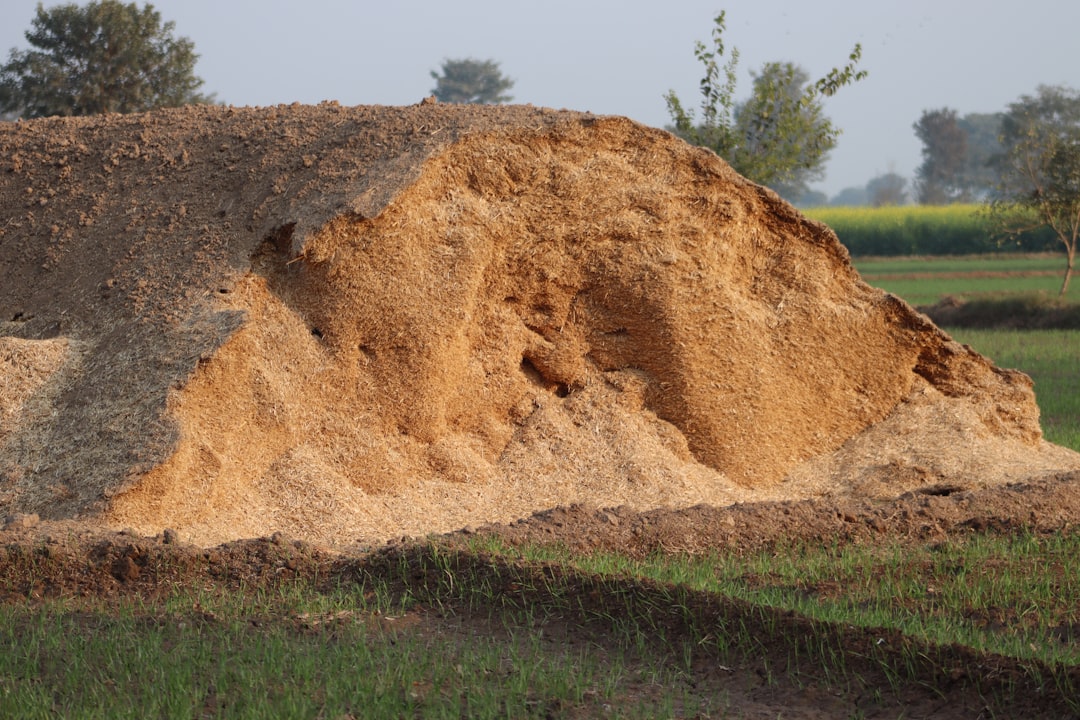 Photo soil erosion prevention