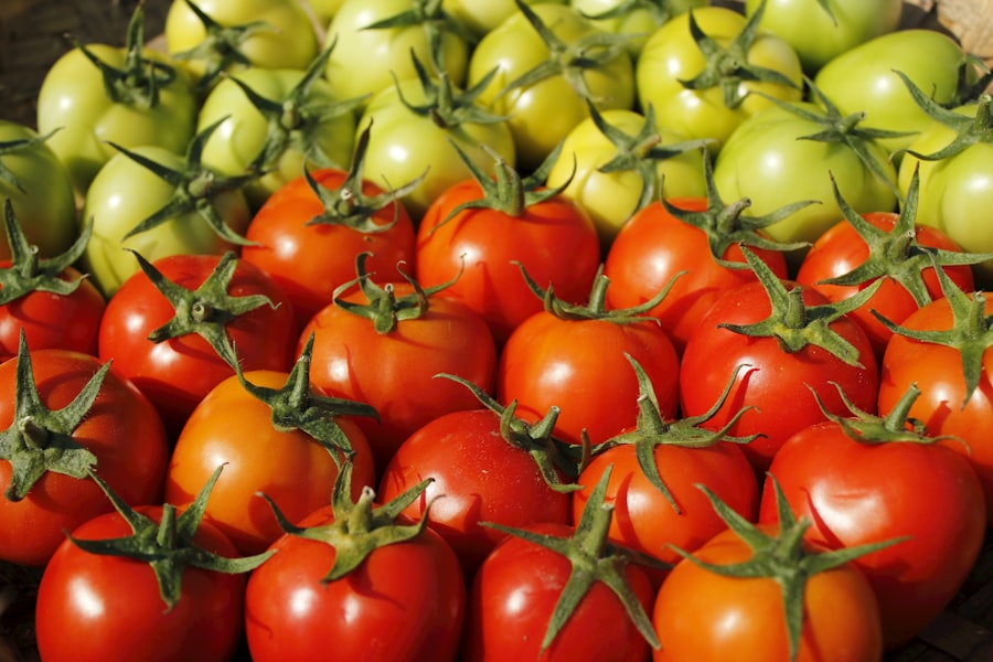 Photo sustainable practices