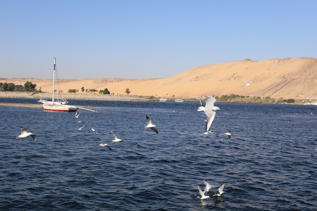 Photo suez canal vulnerability