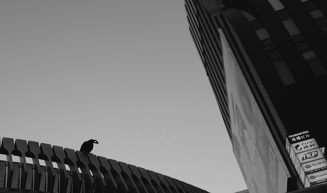 Photo engineering failure