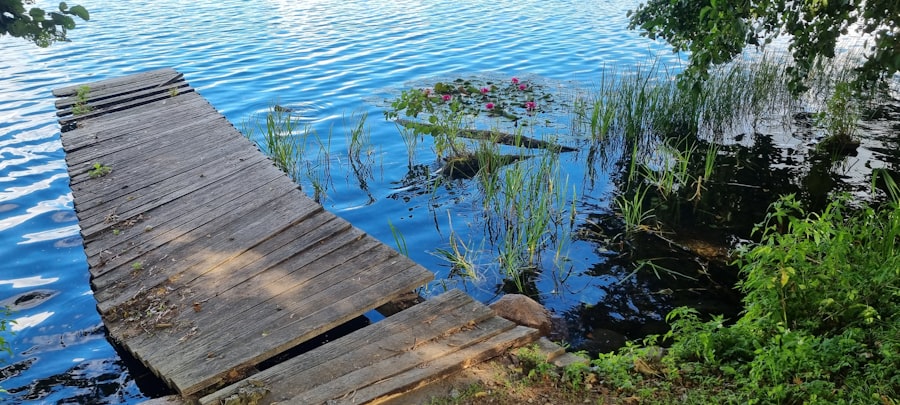 seepage liner integrity pond management