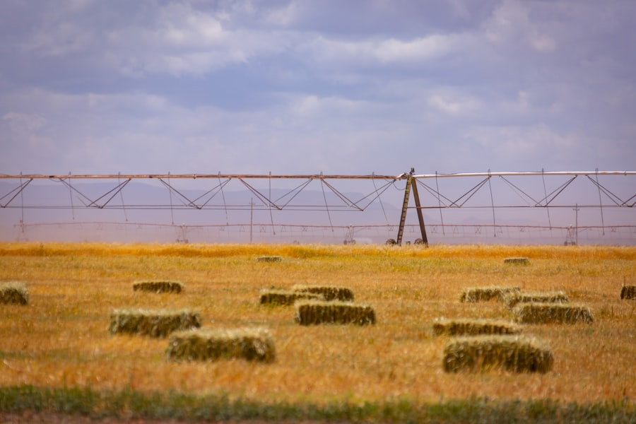farmland prices