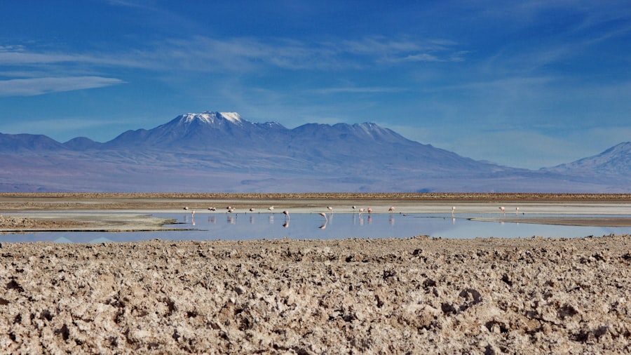 Atacama evaporation ponds