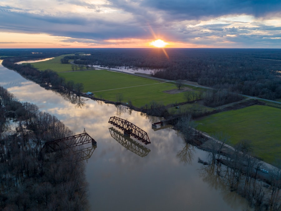 mississippi river agricultural export economy