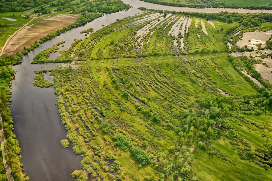 mississippi river economic impact agriculture