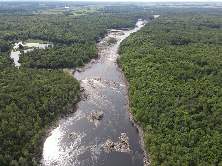 mississippi river sediment dynamics