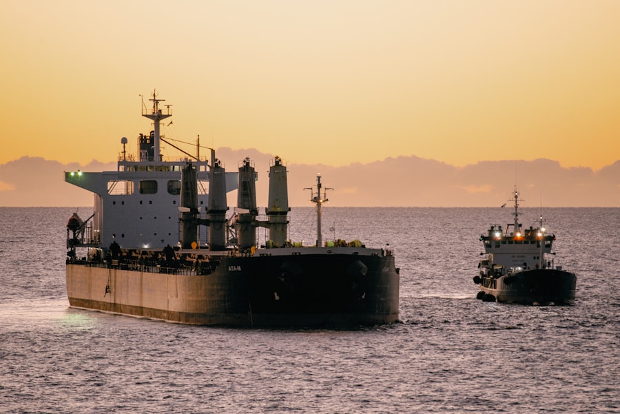 bulk carrier rerouting economics