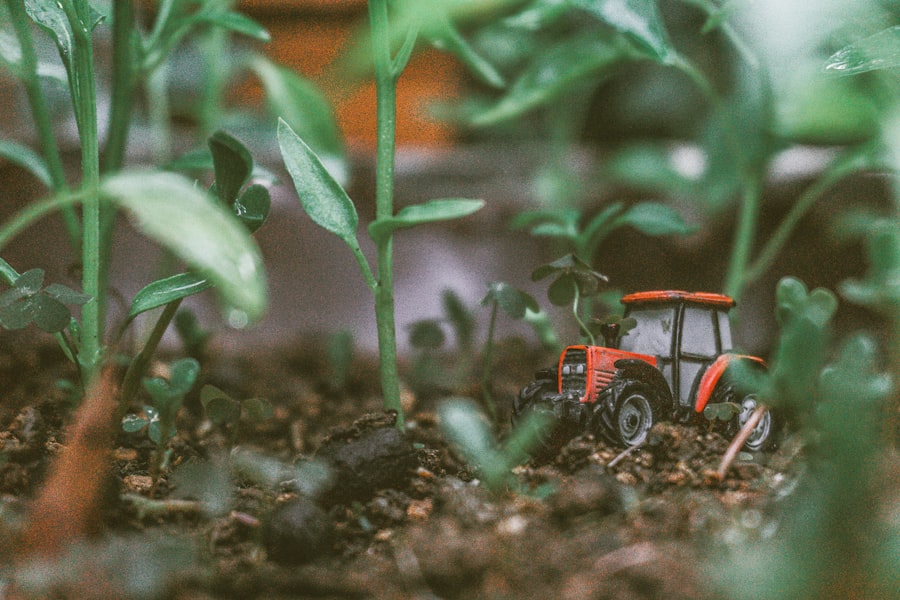 tenant farmer survival strategies