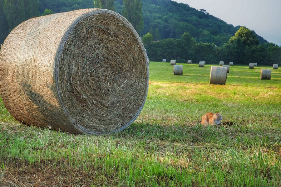 farmland market collapse