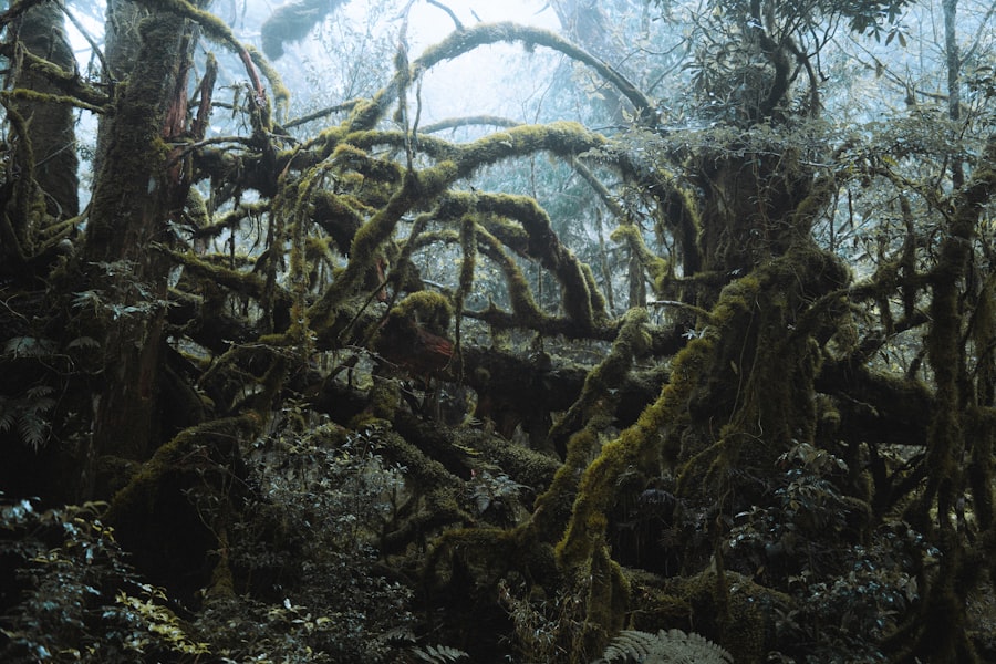 undersea cable routes