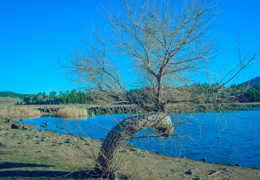 Lake Gatun drought