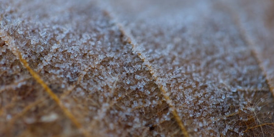 extreme weather patterns