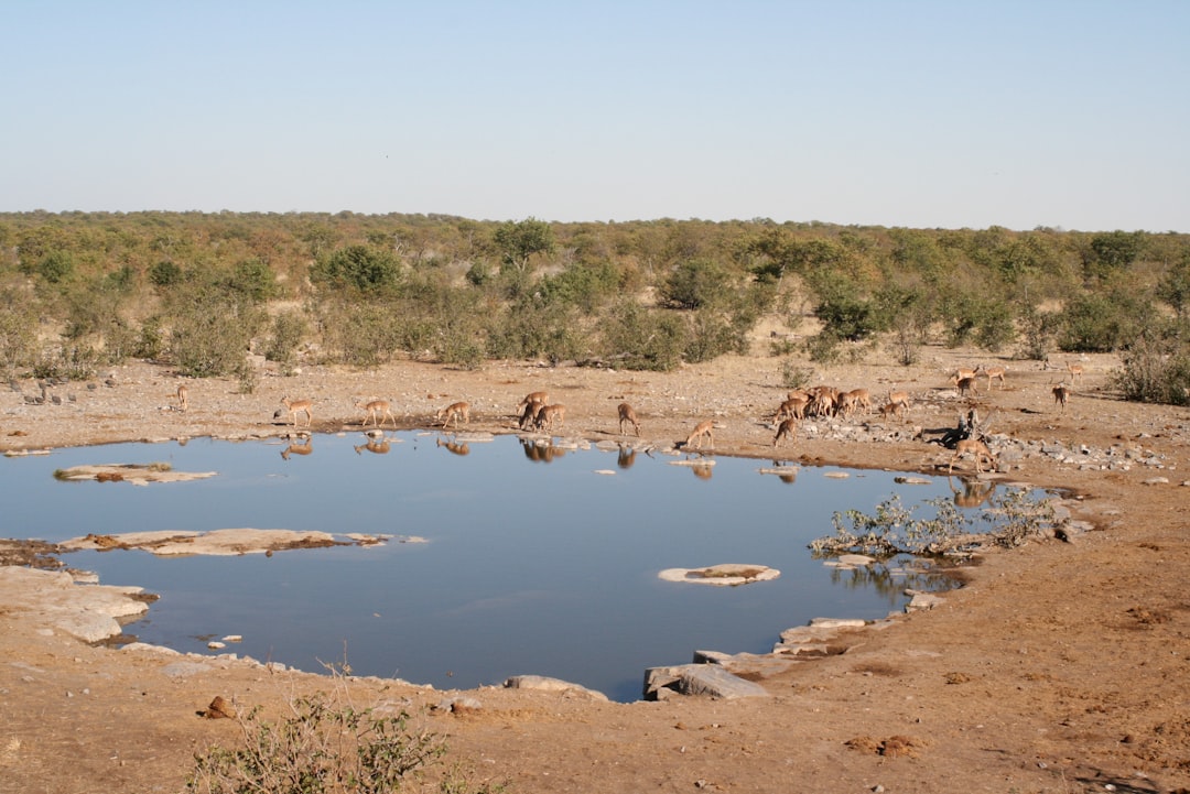 Photo Freshwater scarcity