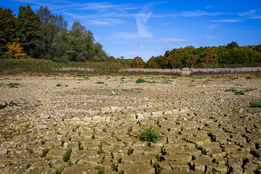 Photo Freshwater scarcity