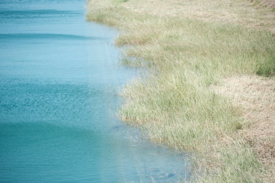 Photo water policy reform