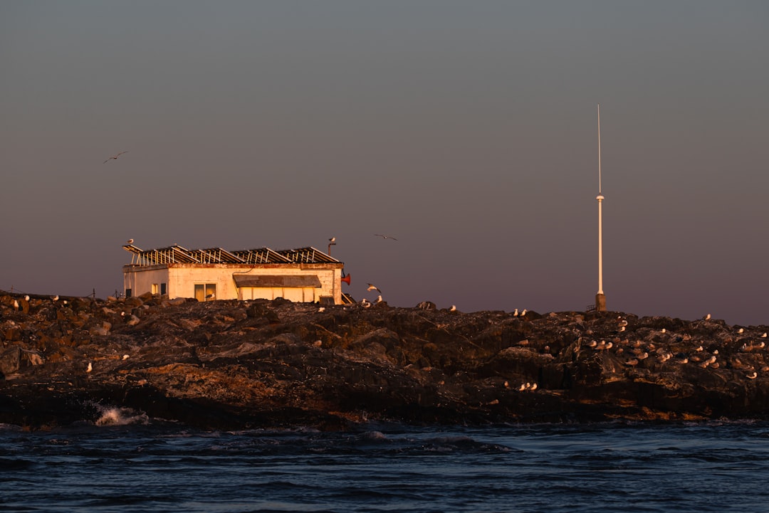Photo ocean research