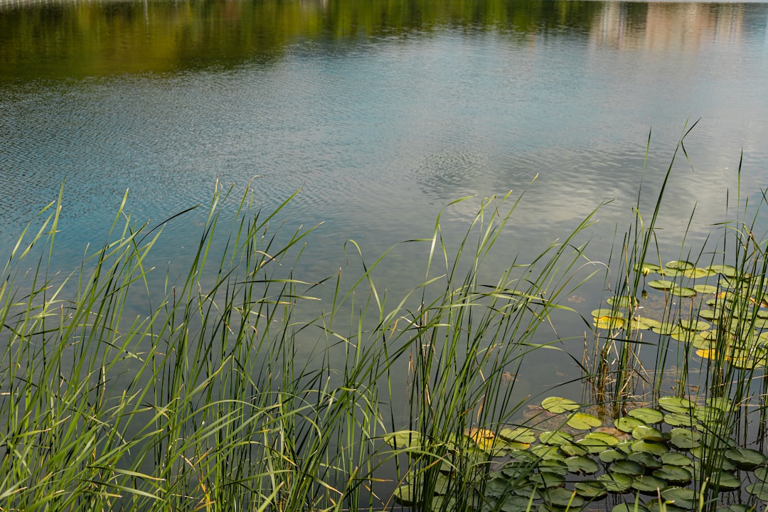 Photo seepage liner integrity pond management