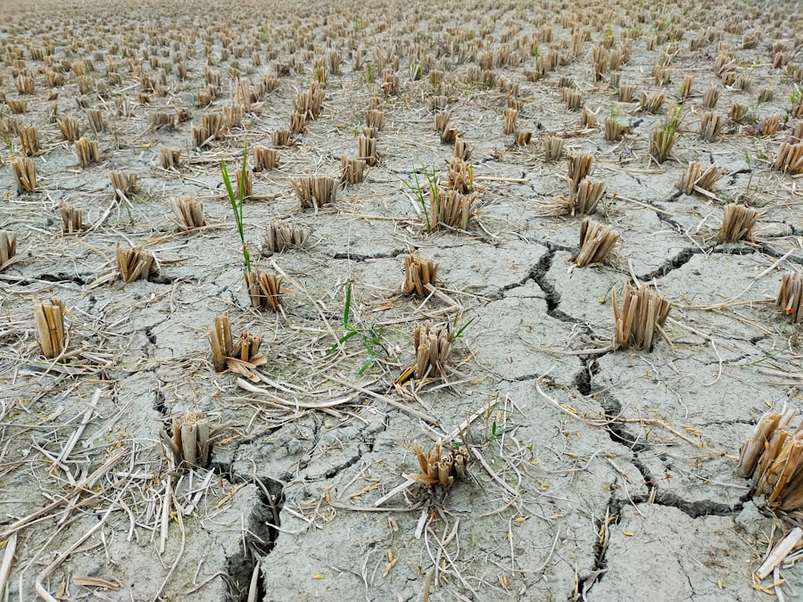 Photo drought planning